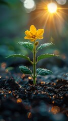 Sticker - Yellow Flower Blooming in Sunlight - Nature Photography