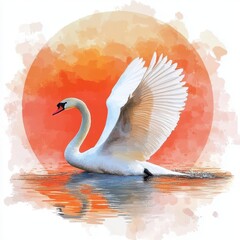 Wall Mural - graceful swan landing flat design, front view, sunset theme, watercolor, splitcomplementary color sc