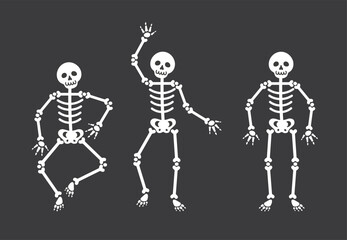 Set of skeletons for Halloween decoration.