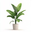 © Going Place - A smooth, cartoon-like render of a potted plant with broad green leaves set against a simple, white background