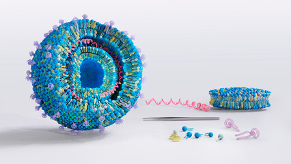 Cationic lipoplexes are one type of Lipid Nanoparticles (LNPs) used for gene delivery. Nucleic acids intercalated between the lipid bilayers. 3d illustration