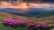 © aulia - Sunset Over Mountain Meadow