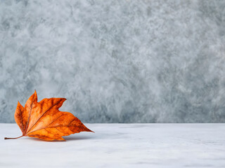 Poster - Single orange leaf lying on empty white table