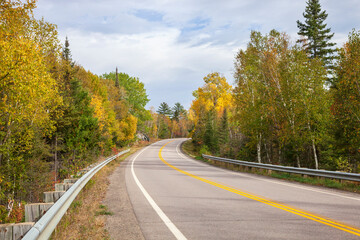 Wall Mural - curving road among trees in autumn color near ely minnesota on a bright afternoon