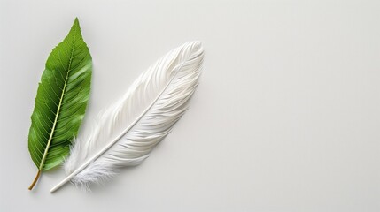 Green Leaf and White Feather on White Background   Minimalist Nature Photography