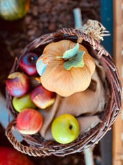 fresh vegetables lie on the ground or in a basket