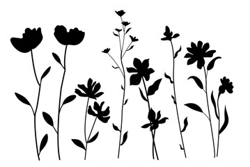 Wall Mural - set of flower silhouettes. abstract botanical floral background. simple minimalistic plants. wildflo