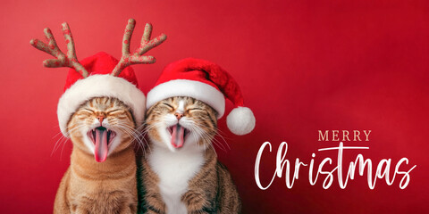 Wall Mural - merry christmas concept holiday vacation winter greeting card with text - cute santa claus two cats 