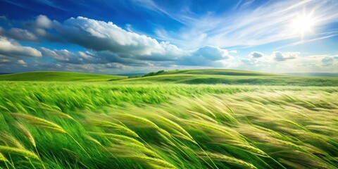 A vibrant green field of grass sways gently in the summer breeze, bathed in the warm light of the sun, beneath a clear blue sky adorned with fluffy clouds.