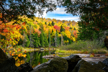 Wall Mural - Autumn in the Adirondacks in NY State.