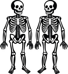 Outline of Skeletons silhouette , vector icon isolated on a white background.