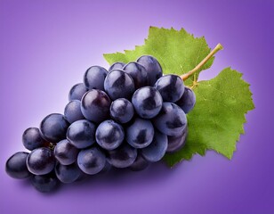 Black Wine grape isolated on purple background