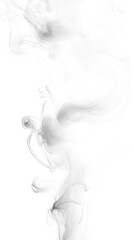 Wall Mural - Realistic white smoke texture on Transparent background