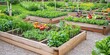 © kwanchaift - Raised Vegetable Beds: Create an image of a garden with raised beds filled with a variety of vegetables like tomatoes, peppers, and carrots, promoting the idea of home ga