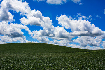 Rolling Farmland Under Blue Sky