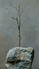 Wall Mural - Bare Tree on a Rocky Outcropping