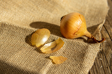 Fresh onion and onion husk on burlap background