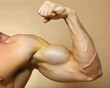 © Vasyl - A close-up of a muscular arm flexing under warm lighting to showcase strength and fitness during an athletic demonstration. Generative AI