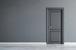 © Marina Demidiuk - Doors for modern interior. Closed wooden door, metallic handle in the empty room. Copy space. Panel door, gray wall, white baseboard and wood floor. Element of apartment design. Swing interior door.