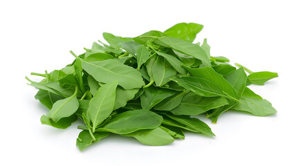 Fresh Curry Leaves | Fragrant and Essential Ingredient for Authentic Indian and Asian Cuisine