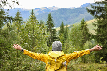 Sticker - Young hiker with backpack in forest near mountains, back view. Space for text