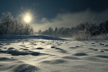 Poster - A serene winter landscape with snow-covered ground, glistening trees, and a bright sun shining through the clouds during the early morning hours