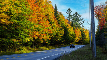 Wall Mural - Autumn in the Adirondacks in NY State.