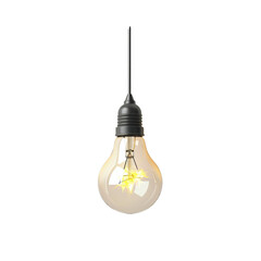 Poster - Vintage light bulb is hanging and glowing on a pure white background