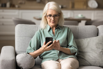 Canvas Print - Older woman sitting on sofa, smiling while using her smartphone, enjoy convenience of modern tech usage, do online shopping, setting reminders for daily tasks, making calls, browsing wireless internet