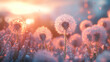 © Drap - Dandelion Sunset Field - Soft Floral Illustration