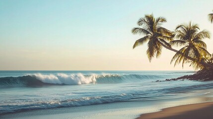 Wall Mural - Serene Beach Scene with Palm Trees and Gentle Waves