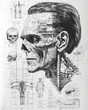 © Hoss - Zombie engineering anatomical drawing - a blueprint with technical details and callouts describing a zombie brain - halloween theme monster artwork, undead