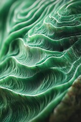 Aufkleber - Luxurious Jade Texture With Intricate Patterns and Subtle Tone Variations Captured in Detail