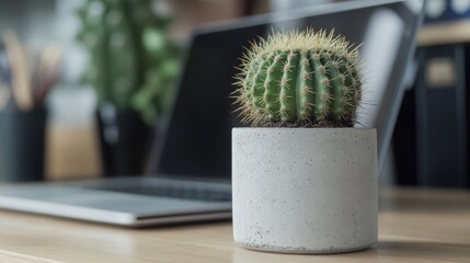 Wall Mural - A potted cactus on a wooden desk with a laptop in the background