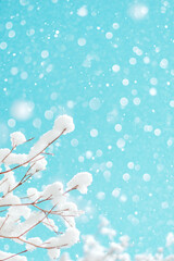 Wall Mural - Beautiful Winter Scene with Frosty Branches and Soft Snow Against a Blue Background