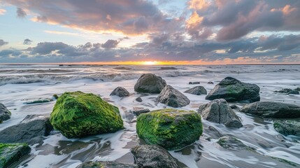 Poster - Sunset Over Mossy Rocks and Waves