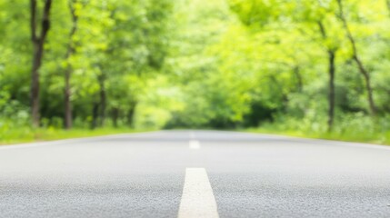 Poster - A serene forest road beckons, framed by lush green trees under a bright blue sky, inviting peaceful strolls.