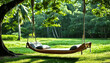 © okaro - A wooden swing hanging from a tree in an environment full of trees and plants