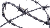 barbed wire fence