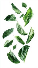 Falling Swiss chard leaves in mid-air on a white background fresh green vegetable isolated. Generative AI