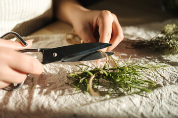 A woman cuts twine to tie rosemary sprigs for drying. Herb preparation