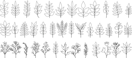Wall Mural - Floral leaf line art, hand drawn botanical leaves, minimalist plants, elegant nature designs. Perfect for nature theme projects, crafts, and print. Vector style leaf illustrations in various shapes