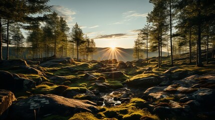 Sticker - A Sun-Kissed Forest Clearing Reveals a Tranquil Stream Weaving Through Moss-Covered Boulders