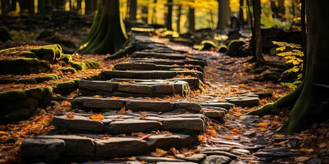 Sticker - A winding stone path through a forest, dappled with fallen leaves, leading towards an unseen destination.