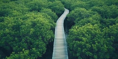 Canvas Print - Forest Wooden Walkway