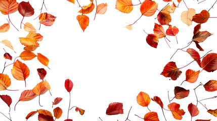 Wall Mural - autumn foliage on white backdrop seasonal theme overhead view with room for text