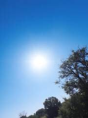 a bright, sunny sky with deep blue tones and the sun high in the sky, casting soft light across a pr