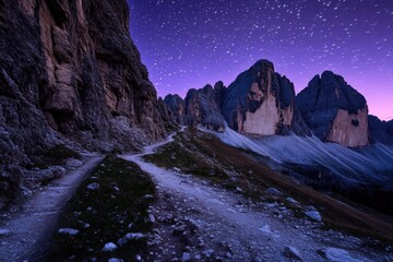 Wall Mural - mountain trail at night