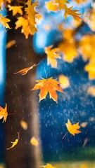 Wall Mural - autumn maple leaves