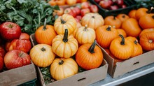 Apples And Pumpkins Display Free Stock Photo - Public Domain Pictures